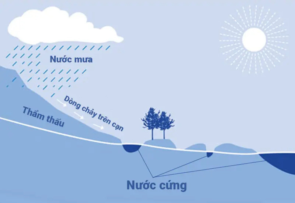 nuoc-cung-la-gi-1